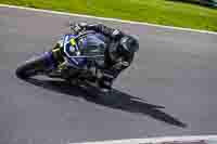 Middle Group Silver_Grey Bikes